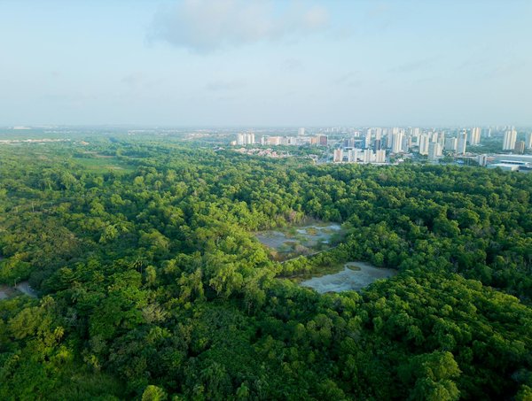 Les accessoires indispensables pour améliorer les performances de votre véhicule