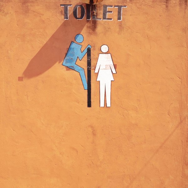 Quelles sont les raisons pour lesquelles on devrait installer des toilettes sèches publiques écologiques sur la plage ?