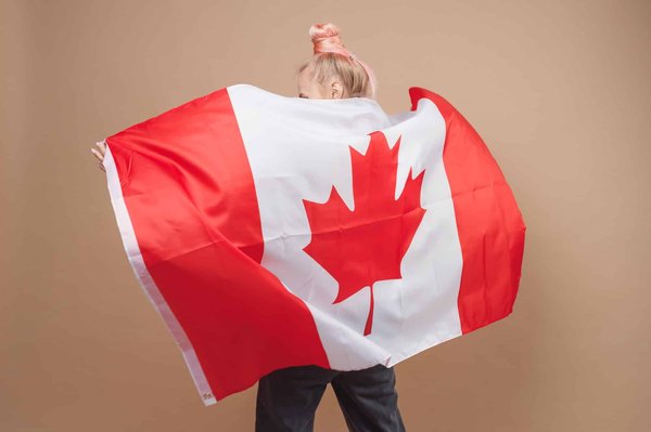 Demande de visa AVE au Canada : comment cela se déroule ?