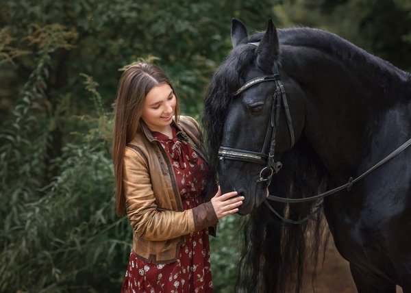 Cheval Frison : comment dresser cet animal ?